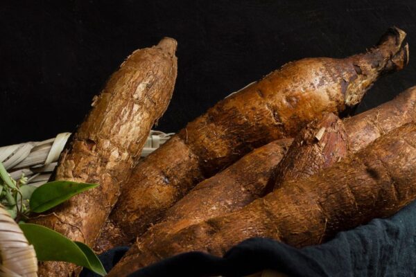 Cassava Product NYT