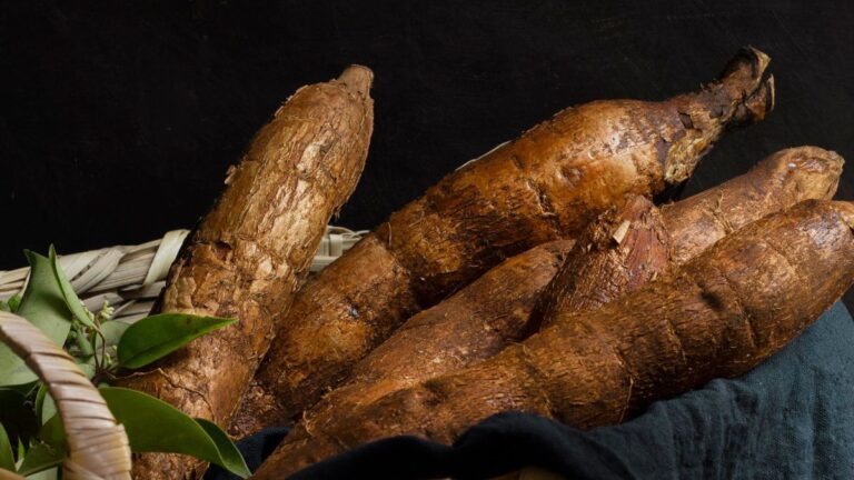 Cassava Product NYT