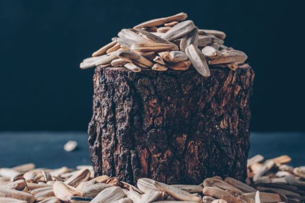 ancient grain in a healthy cereal nyt